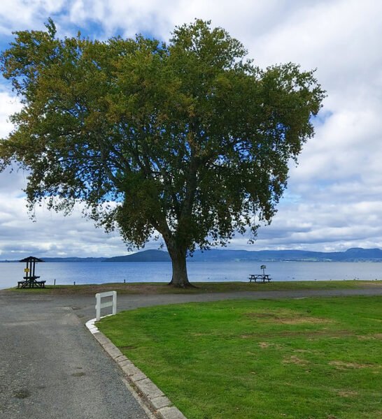 Willowhaven Holiday Park